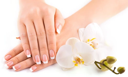 Our Services | Vox Nail Spa of Marriottsville, MD 21104 | Manicure, Spa  Pedicure, Enhancement, Facial, Eyelash, Massage Treatment, Waxing